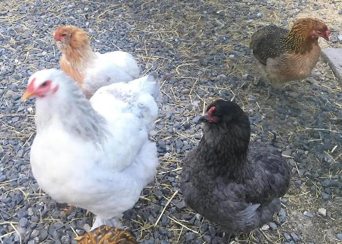 Villa Casa Di Jo Imperia